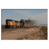 Union Pacific, Sonora Desert, Tucson Arizona