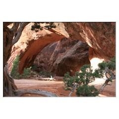 Navajo Arch