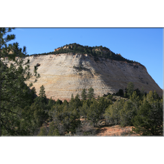 Checkerboard Mesa: Sandstein