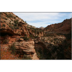 ein schmaler Pfad fhrt zum Zion Overlook